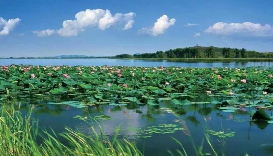 關于全面推進美麗遼寧建設的實施意見（征求意見稿）發布！